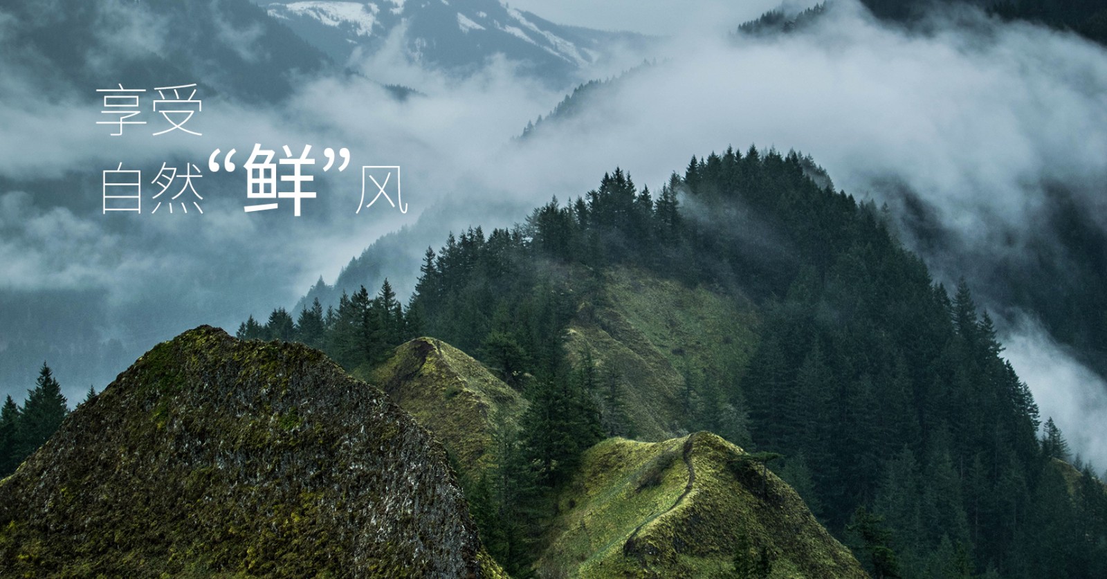 颯多大的、爽.jpg
